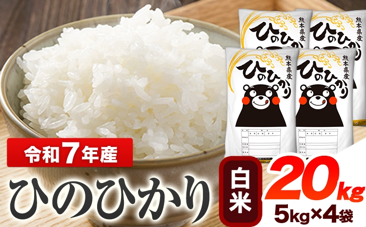
                  令和7年産 ひのひかり 白米 20kg 熊本県産 白米 精米 ひの 送料無料 熊本県 山江村 《1-5日以内に出荷予定(土日祝除く)》
                