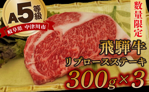 【数量限定！チルド（冷蔵）発送！】「飛騨牛」A5等級リブロース 300g×3枚 ステーキ 鉄板焼き 網焼き 焼肉 バーベキュー BBQ F4N-1255