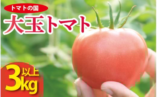 【 先行予約 】 トマト 大玉 3kg 以上 トマトの国 サラダ 野菜 やさい トマト 薄皮 完熟 高糖度 果物 スイーツ ジュース パスタ スパゲティー ソース サラダ ドレッシング 鍋 サンドイッチ ハンバーガー ピザ カレー ギフト 贈答 プレゼント お取り寄せ グルメ 送料無料 徳島県 阿波市