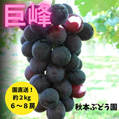 【ふるさと納税】【茨城県稲敷市産】秋本ぶどう園直送　巨峰詰合せ約2kg【配送不可地域：離島・沖縄県】【1085739】