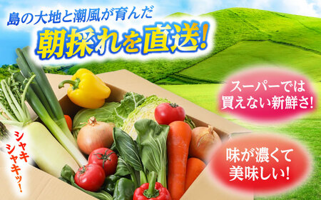 【全4回定期便】五島列島の旬野菜セット7〜10品目 おまかせ おたのしみ 詰め合わせ 五島市/五島のやぁしゃ便 [PBG002]