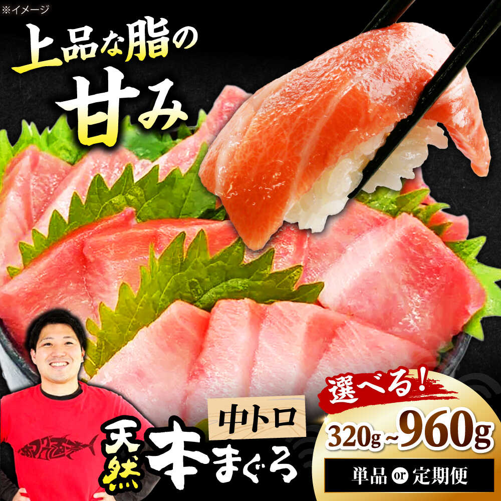 【ふるさと納税】【選べる容量・定期便】極上！たね熟天然本まぐろ中トロ 天然 マグロ 鮪 まぐろ トロ 赤身 海鮮 さかな 刺身 魚 魚介 ギフト 贈り物 贈答 プレゼント 人気 おすすめ 送料無料 大阪 大阪府 高槻 高槻市 ふるさと納税 大阪府高槻市/本まぐろ直売所[AOCE009]