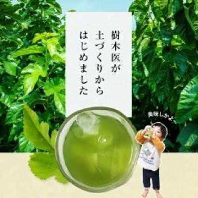 ふるさと納税 合志市 【毎月定期便】樹木医が育てた桑の葉茶(粉末)50g×1袋全3回 |  | 01