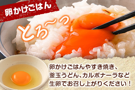 【定期便 12か月】 卵 30個 E253