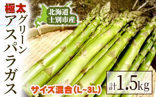 
            【C7076】＜特別栽培・期間限定＞北海道士別市産 極太グリーンアスパラ (L～3Lサイズ混合・1.5kg) 【2025年5月から順次発送】野菜 太い 極太 アスパラ アスパラガス グリーンアスパラ 北海道 北海道産 国産 旬 産地直送 【あったかふぁーむ】
          