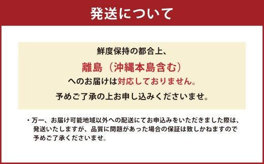 熊本県産 あけび 約3キロ前後 【2026年10月上旬発送開始】 フルーツ 果物 くだもの アケビ 熊本県 国産