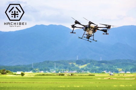 【令和7年産新米予約】【グッドライフアワード環境大臣賞受賞】 3ヶ月定期便 無洗米 新之助 10kg×3回 計30kg 農家直送 ほんのり甘い「はちみつ農法」 白米 精米 HACHIBEI 八米 10