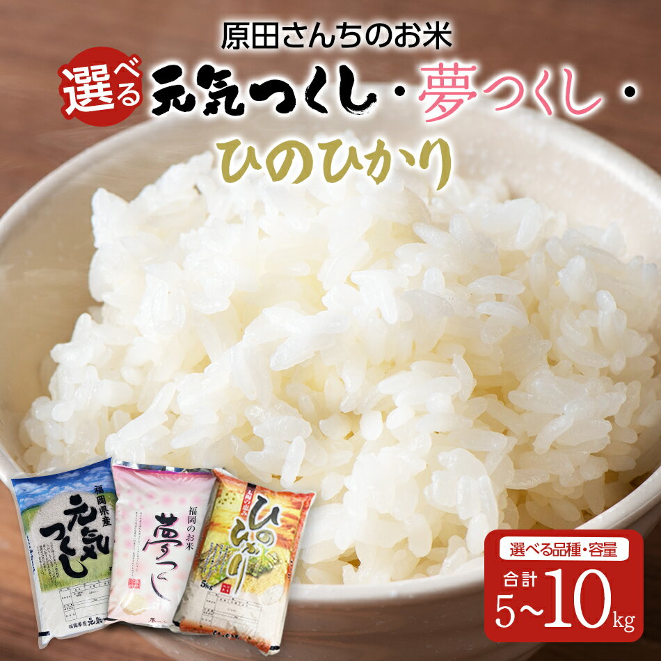 【ふるさと納税】「原田さんちのお米」選べる 5〜10kg 元気つくし 夢つくし ヒノヒカリ お取り寄せグルメ お取り寄せ 福岡 お土産 九州 ご当地グルメ 福岡土産 取り寄せ 福岡県 食品