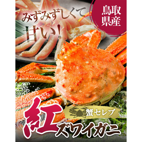 蟹  蟹セレブ 紅ズワイガニ 選べる サイズ 数量 大 特大 1杯 2杯 giverichホールディングス《10月上旬-5月下旬頃出荷》鳥取県 八頭町 蟹 かに カニ 紅ズワイガニ 紅ズワイ 送料無料
