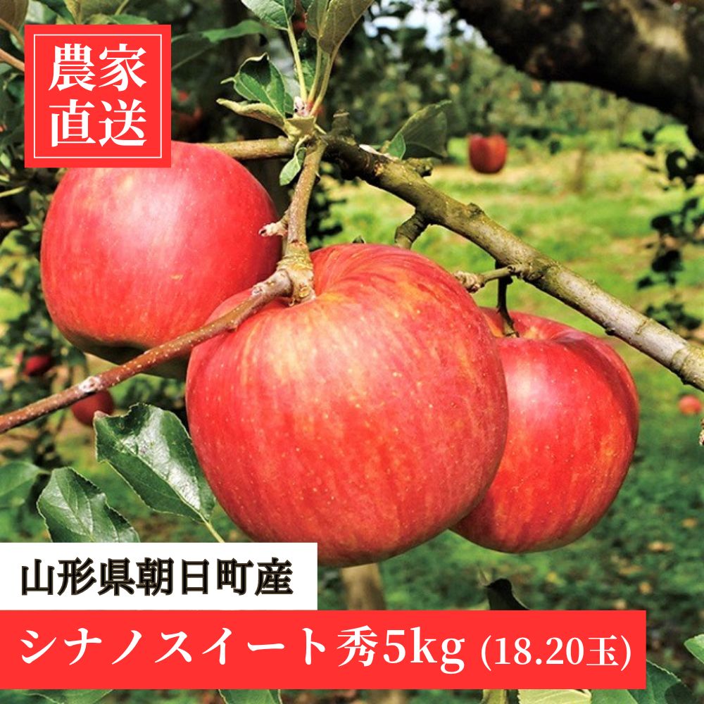 【ふるさと納税】 りんご シナノスイート 秀 5kg 16～20玉 農家直送 山形県 朝日町産 山形県産 果物 フルーツ リンゴ 林檎 秋 産地直送 送料無料