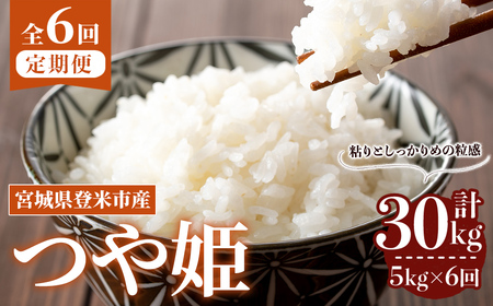≪令和7年産≫【6回定期便】つや姫 計30kg (5kg×6回配送) 登米市産 お米 おこめ 米 コメ 白米 ご飯 ごはん おにぎり お弁当 6か月 頒布会【登米ライスサービス株式会社】tm458