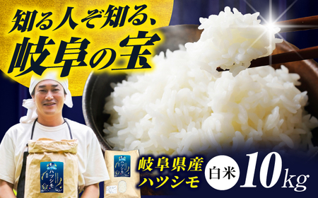 【令和7年度産】岐阜県産 米 ハツシモ 10kg 白米 [ANHI002]