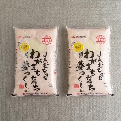ふるさと納税 春日市 【春日】果物屋さんが選んだ米「夢つくし」10kg