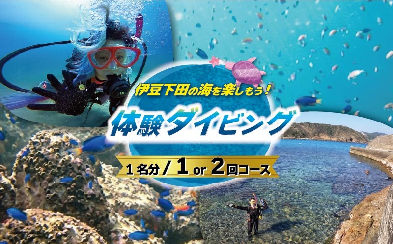 
                  ダイビング 体験チケット 選べる 1回 2回 1名 下田 体験 海 初心者 2回 コース アウトドア スポーツ アクティビティ マリンスポーツ レジャー 旅行 観光 夏休み お盆 GW 冬休み 春休み 白浜 ホテル伊豆急 内 ドラゴンレディ 静岡県 下田市 伊豆
                