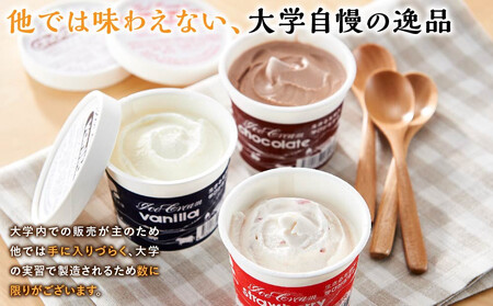 酪農学園大学アイス16個セット（各100ml） ｜ ジェラート ジェラート 乳製品   EB8-0135