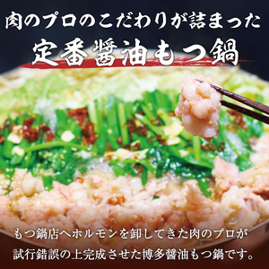 博多もつ鍋 3～4人前 醤油味 a9434 もつ鍋