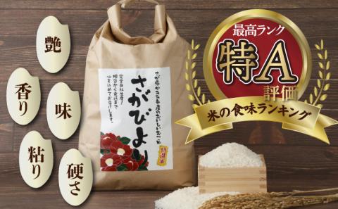 年内発送 12/25まで 特選米100%!令和7年産さがびより(精白米) 10kg 【D-686-V】