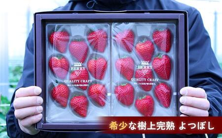 【完熟クラフト苺BERRY】有名シェフ御用達【樹上完熟いちご 欲張り３種セット（白いちご＋赤２品種）】約1500g（出荷2025年12月上旬～2026年5月下旬）