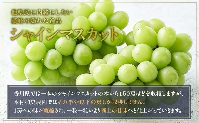 朝採りシャインマスカット　名峰讃岐富士育ち 煌めきの果実