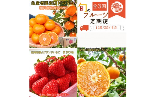 
                  【全3回】紀州和歌山産旬のフルーツ定期便 (田村みかん・いちご・なつみ) 【tkb374】
                