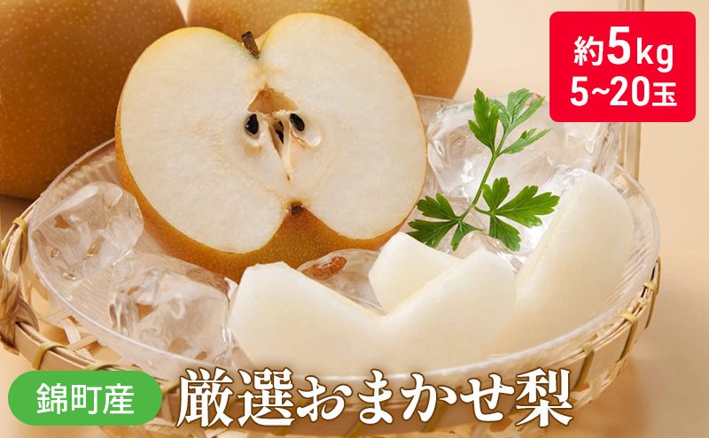 梨 おまかせ 約5kg 豊水・秋月・新高などから最も旬の梨を厳選 錦町産 5～20玉 なし ナシ 果物 くだもの デザート フルーツ ※配送不可：離島 