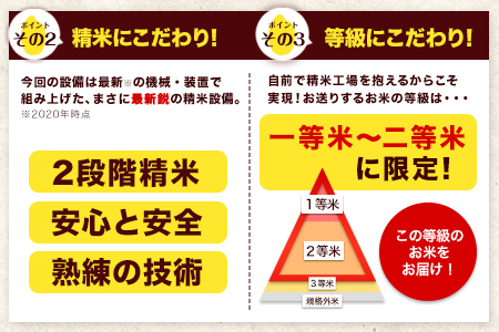 令和5年産 ひのひかり 【3ヶ月定期便】 白米 《お申込み月の翌月から出荷開始》 10kg (5kg×2袋) 計3回お届け 熊本県産 単一原料米 ひの 熊本県 南阿蘇村