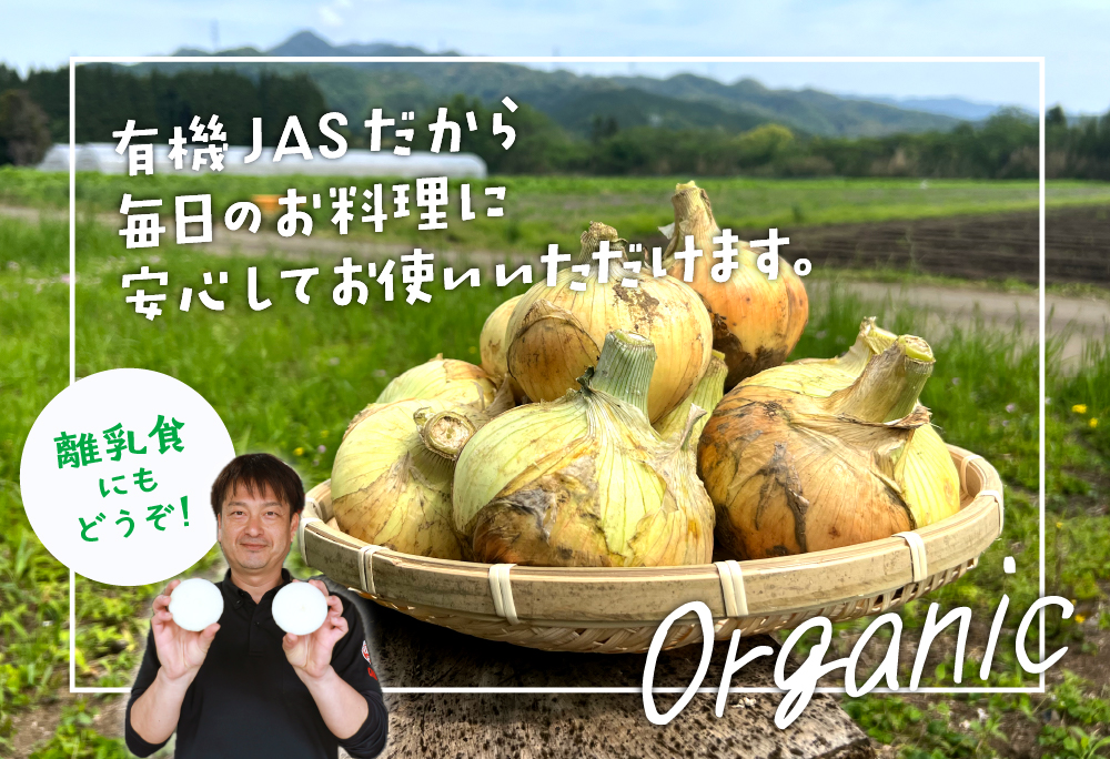 「有機JAS」南国オニオン 10kg 10kg