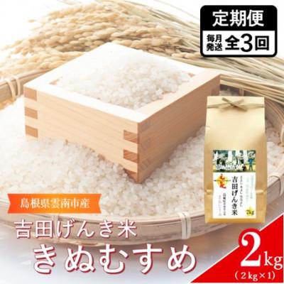 ふるさと納税 雲南市 【毎月定期便】島根県雲南市産　吉田げんき米　きぬむすめ　2kg(2kg×1)全3回