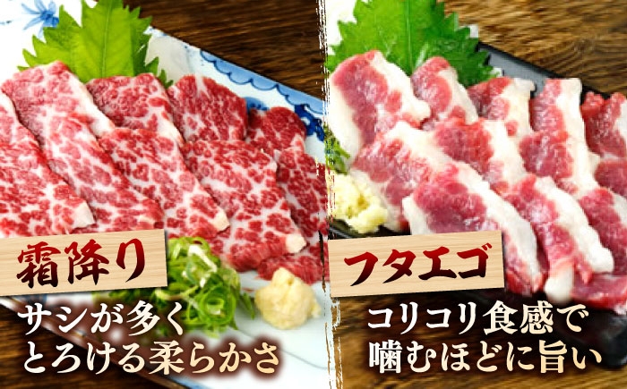 馬刺し 5種 盛り合わせセット 5人前 約250g 熊本直送 馬刺し食べ比べ