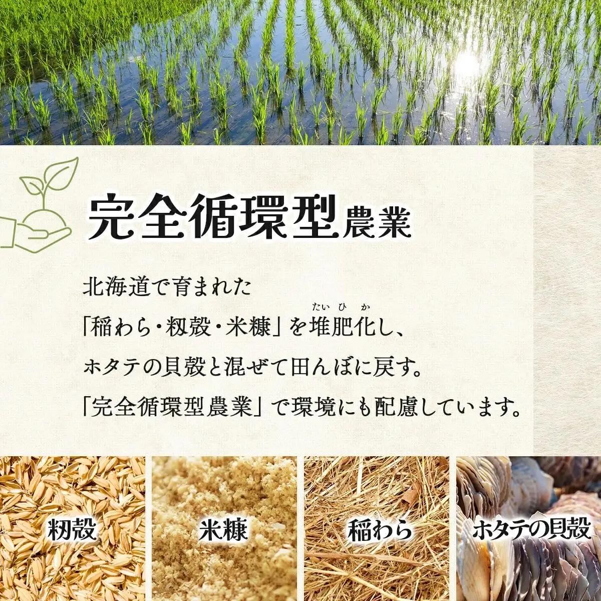 《令和7年産！》『100%自家生産玄米』善生さんの自慢の米 玄米ななつぼし 10kg※一括発送 a104-116
