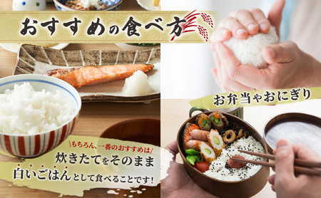 【 先行受付 】米 ゆめぴりか 無洗米 10kg 白米 精米 産地直送 お米 単一原料米 ブランド米 特A米 特A 10キロ 北海道 北海道産 ご飯 ごはん こめ コメ 送料無料 令和7年産 北海道 