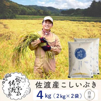 ふるさと納税 佐渡市 【新米予約】佐渡島産こしいぶき 白米4Kg(2Kg×2袋) 令和7年 〜栽培期間中農薬5割減〜