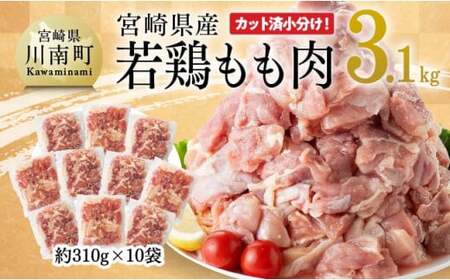 【令和6年10月発送】 宮崎県産 若鶏 もも肉 310g×10袋 (3.1kg) 【 鶏肉 モモ肉 肉 小分け からあげ チキン南蛮 国産 九州産 宮崎県産 送料無料 】