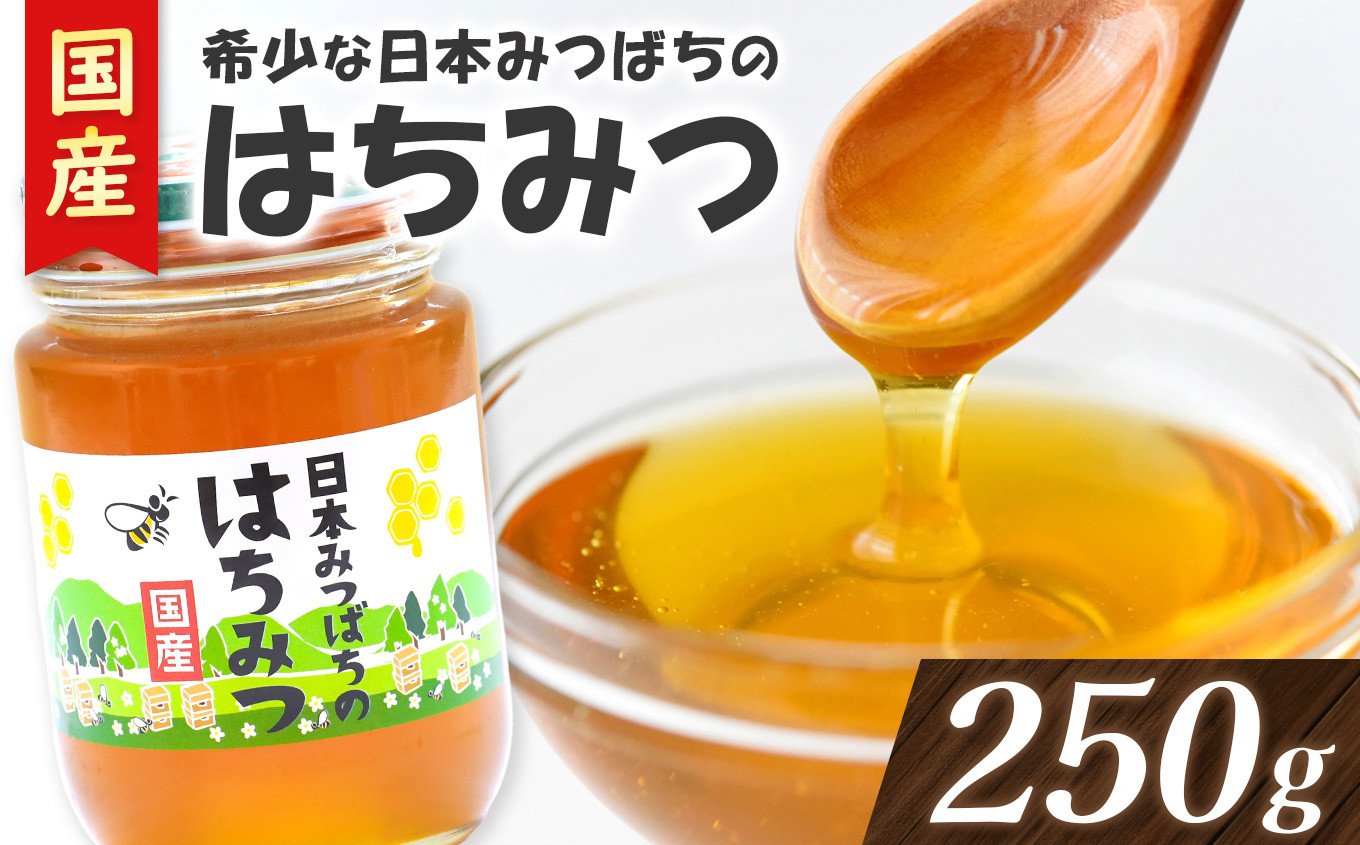 
            希少 日本みつばち の ハチミツ 250g | 国産蜂蜜 国産はちみつ 蜂蜜 はちみつ ハニー 日本蜜蜂 人気 天然 産地直送 熊本県 玉名市
          