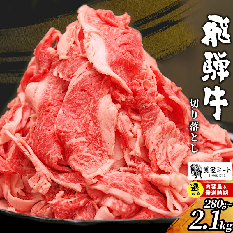 【ふるさと納税】 飛騨牛 切り落とし 280g 700g 1.4kg 2.1kg 訳あり 黒毛和牛 牛肉 和牛 肉 お肉 切落し 不揃い 自宅用 赤身 脂身 霜降り 切り落し ブランド牛 国産 すき焼き 肉じゃが カレー 冷凍 養老ミート お試し 大容量 最速発送
