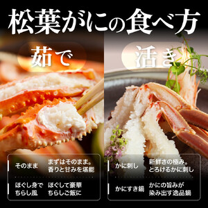 【2025年11月発送】特撰 松葉がに（なま）【訳あり】400g超のサイズ  1杯