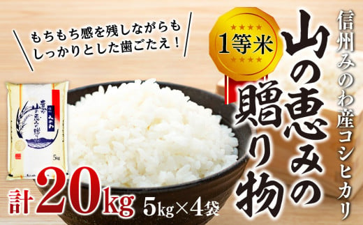 【令和6年度】信州産 コシヒカリ 1等米 「山の恵みの贈り物」 20kg（5kg×4袋） （ お米 コシヒカリ 白米 搗きたて米 低温貯蔵米 食品 )　[№5675-1098]