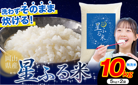 無洗米 星ふる米 10kg 無洗 米  m