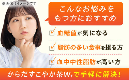【全6回定期便】からだすこやか茶Ｗ+ 計144本（350ml×24本×6回） / トクホ お茶 トクホ / 佐賀県 [41AFAO024]