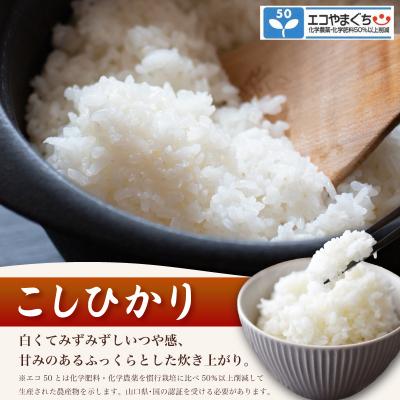 ふるさと納税 下関市 【先行予約】 コシヒカリ 10kg 隔月3回 令和8年産 《内日三町:DZ813-KS》 |  | 01