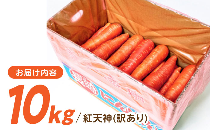 【訳あり】 【甘みと栄養たっぷり！】 真っ赤な人参 「紅天神」 10kg / にんじん ニンジン 人参 やさい 野菜 訳あり 訳アリ わけあり ワケアリ / 諫早市 / 滝商店株式会社 [AHCU00