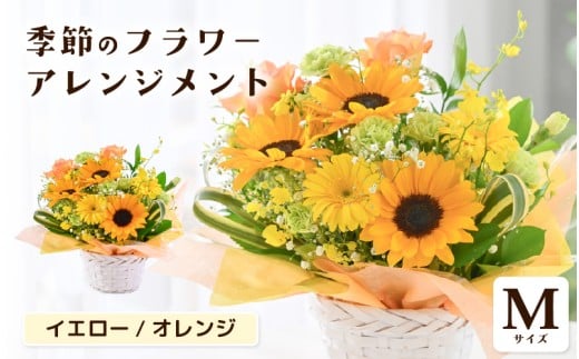 選べるカラー 季節のフラワーアレンジメント M (イエロー・オレンジ) お花 フラワー 花束 ギフト 生花 プレゼント 花束 花 記念日 お祝い 入学式 卒業祝い 結婚式 ウエディング フラワーギフト 贈り物 贈答 お祝い事 [A-20702_02]