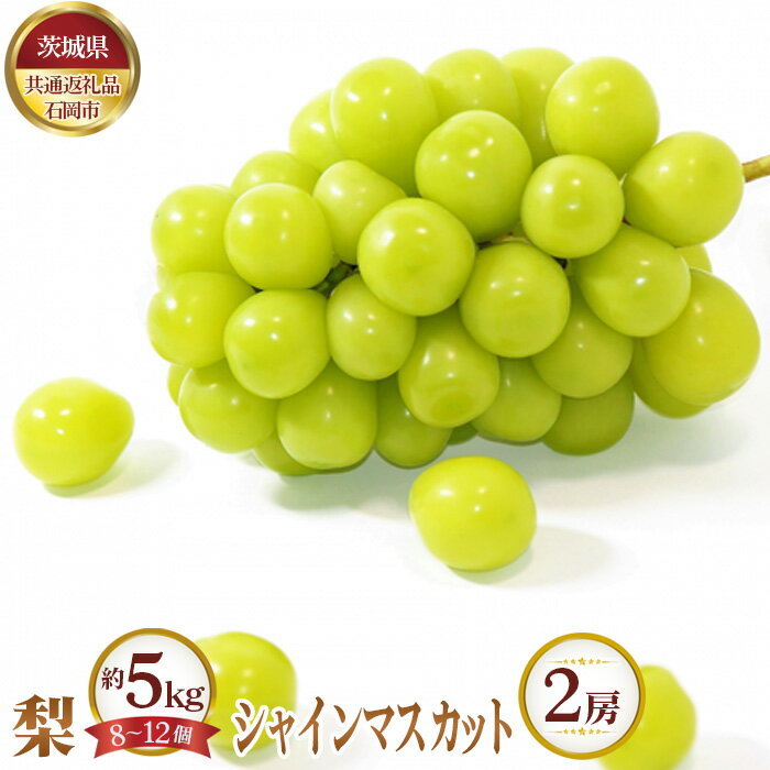 【ふるさと納税】No.647 【先行予約】梨 約5kg（8～12個）とシャインマスカット2房【茨城県共通返礼品 石岡市】 ／ なし ナシ ぶどう ブドウ 葡萄 シャインマスカット マスカット フルーツ 果物 セット 詰め合わせ 送料無料 茨城県