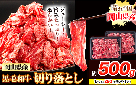 牛肉 黒毛和牛 切り落とし 500g《30日以内に出荷予定(土日祝除く)》 岡山県 浅口市 牛 牛肉 和牛 牛丼 カレー 小分け 小分けパック 250g 送料無料