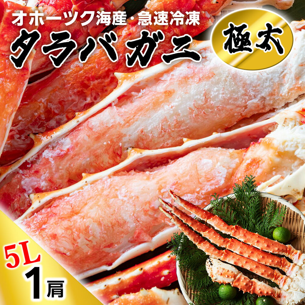 【ふるさと納税】タラバガニ極太5Lサイズ1肩たらばがに タラバガニ たらば蟹 たらばガニ タラバかに たらばカニ 蟹 カニ ボイルタラバ 北海道ふるさと納税 稚内 ふるさと納税 北海道 【配送不可地域：離島】