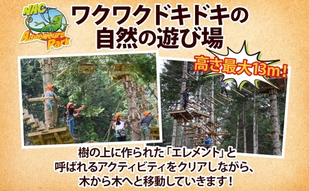 北海道 NAC アドベンチャー パーク 大人 1日券 1枚 アウトドア アクティビティ アトラクション 冒険 ジップライン 体験チケット バンジージャンプ 子供 大人 夏季 冬季 観光 ひらふ ニセコ