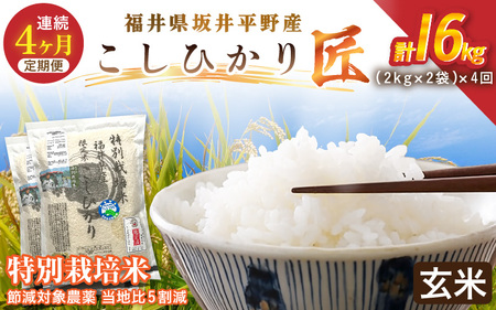 【4ヶ月連続お届け】令和7年産  特別栽培米 コシヒカリ匠 4kg（2kg×2袋）×4回 計16kg  節減対象農薬当地比5割減【玄米】お米 コシヒカリ [G-2910_02]