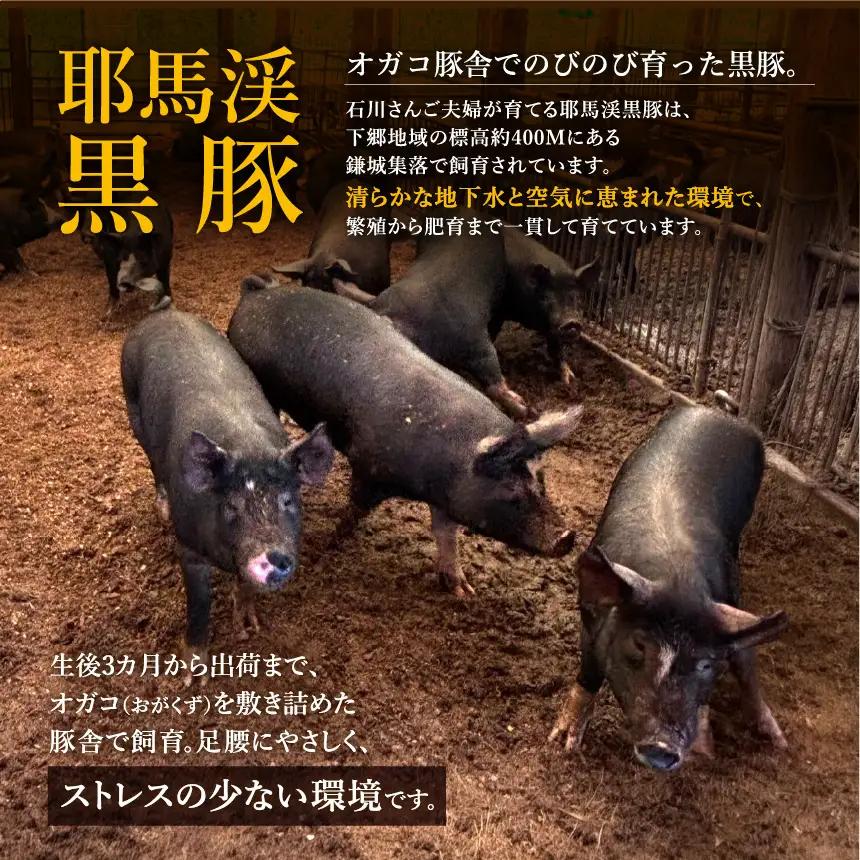 下郷農協の耶馬渓黒豚 モモ味噌漬け 800g (200g×4パック）| お肉 豚肉 ポーク モモ肉 豚もも 味噌豚 国産 黒豚 大分県 中津市