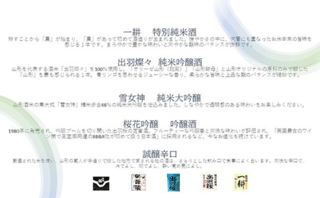 出羽桜酒造 飲み比べ5本セット 冬季 F2Y-1776