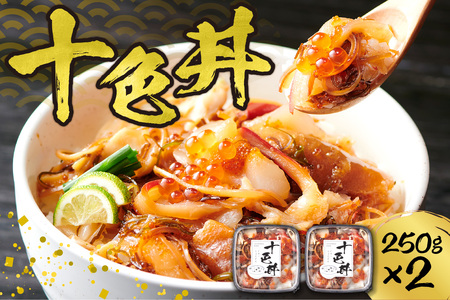 【北海道の海鮮丼】十色丼